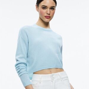 Alice + Olivia SHERRELL CASHMERE CREW NECK PULLOVER - sky blue